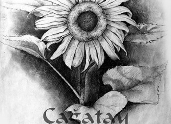 Başarılı Öğrenci Çalışmaları